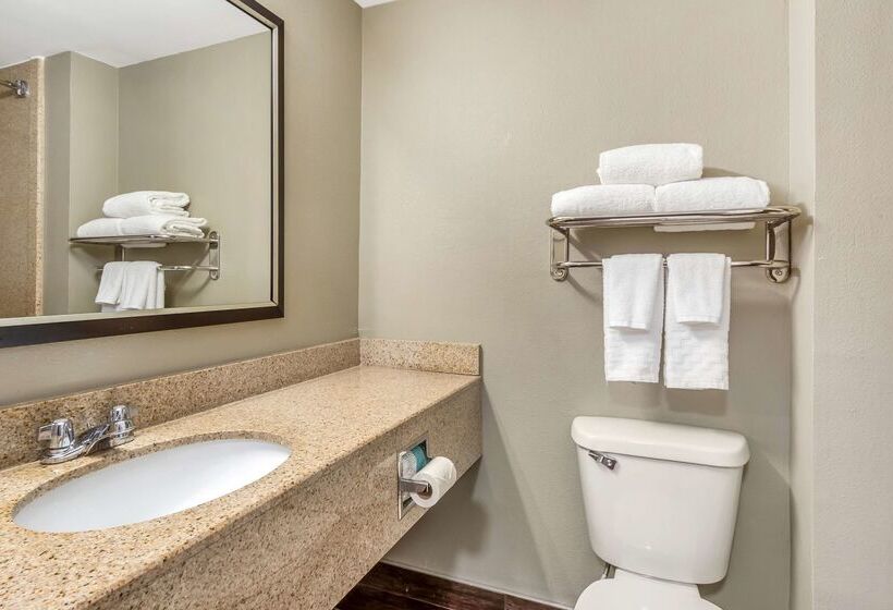 בית מלון כפרי Best Western Airport Inn & Suites