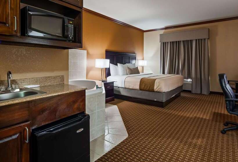 酒店 Best Western Granbury Inn & Suites