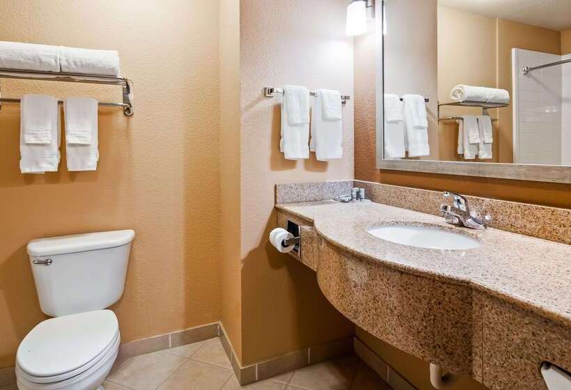 酒店 Best Western Granbury Inn & Suites