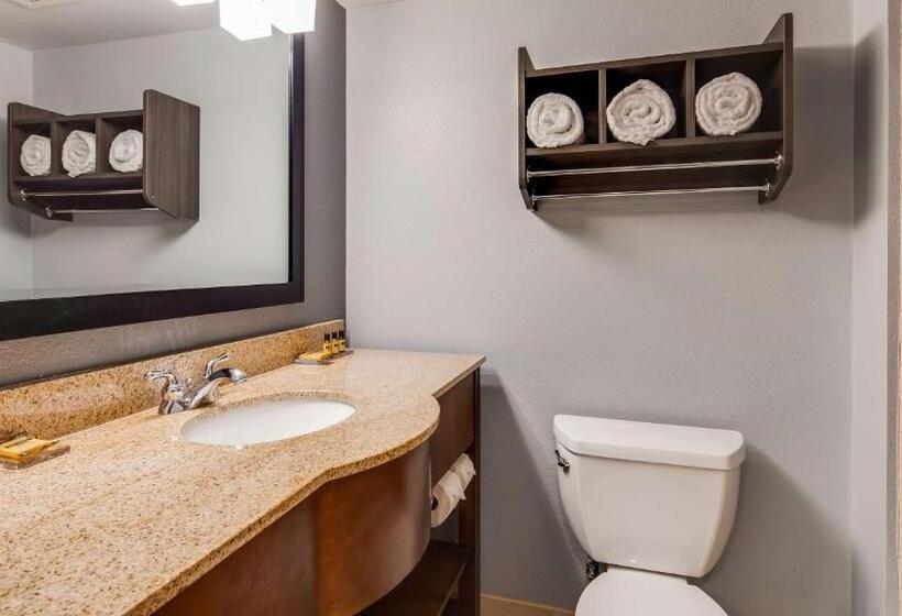 Отель Best Western Plus Champaign/urbana Inn