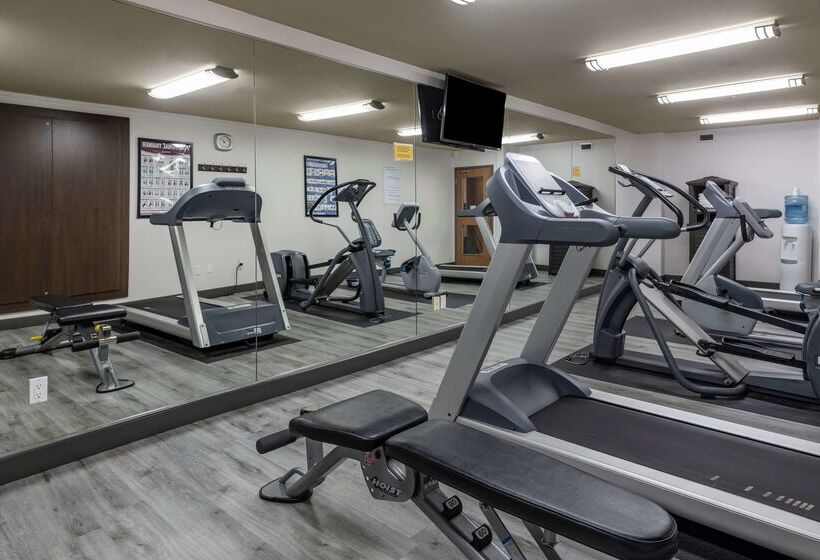 Best Western Plus Dartmouth Hotel & Suites