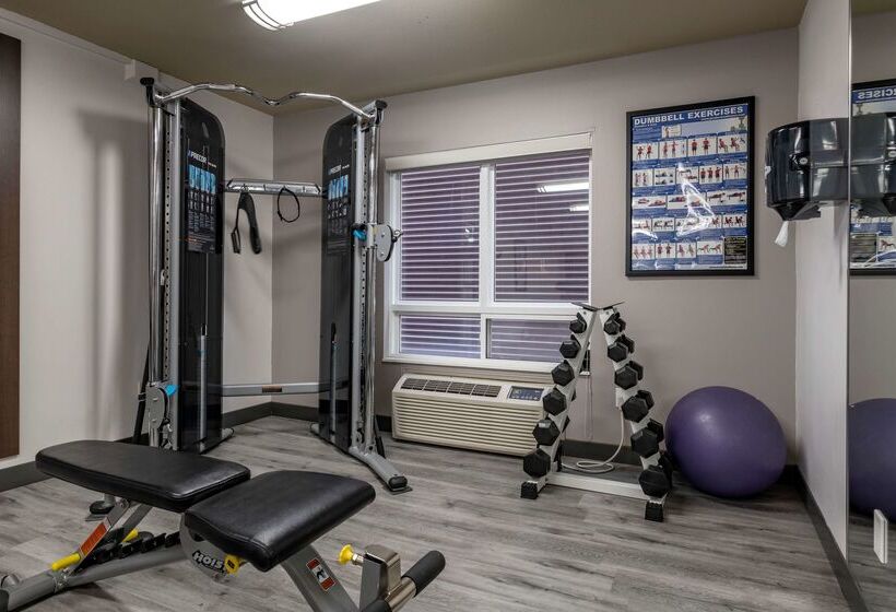 Best Western Plus Dartmouth Hotel & Suites