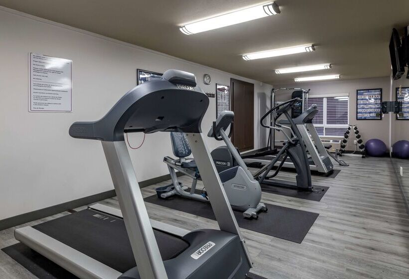 Best Western Plus Dartmouth Hotel & Suites