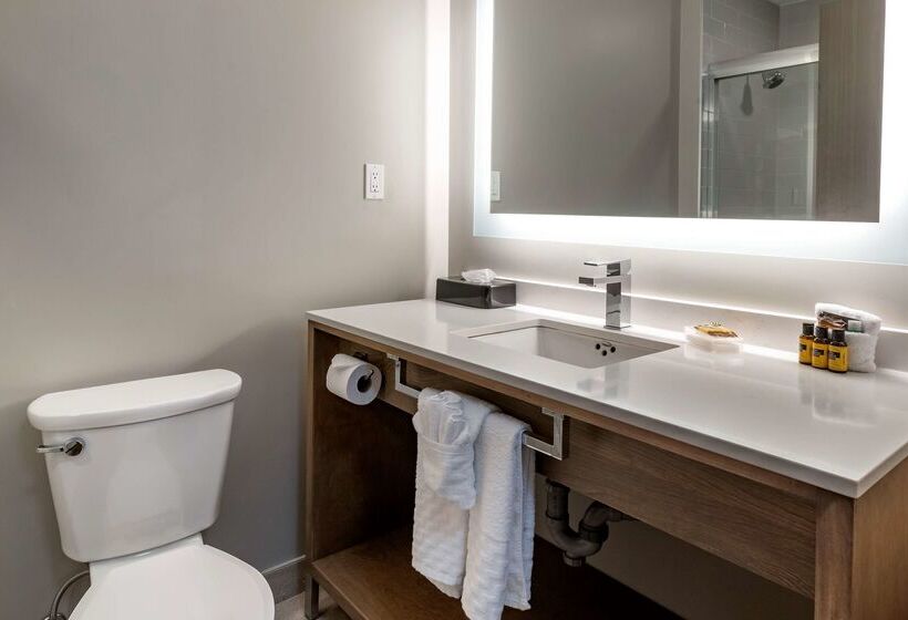 Best Western Plus Dartmouth Hotel & Suites