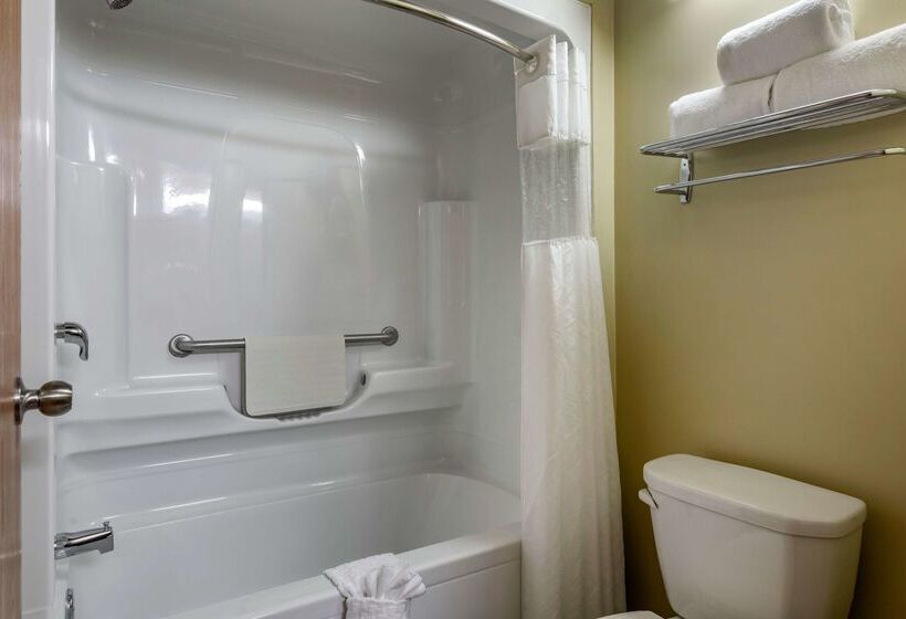 Best Western Plus Dartmouth Hotel & Suites