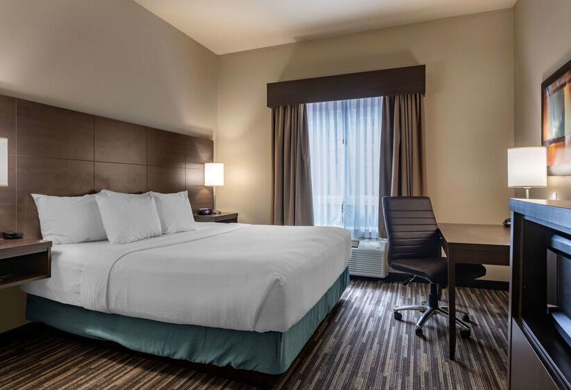 Best Western Plus Dartmouth Hotel & Suites