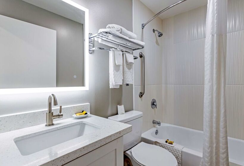 فندق Best Western Plus Edinburg Inn & Suites