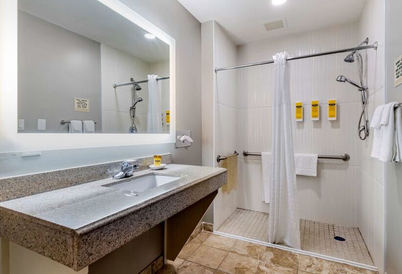 فندق Best Western Plus Edinburg Inn & Suites