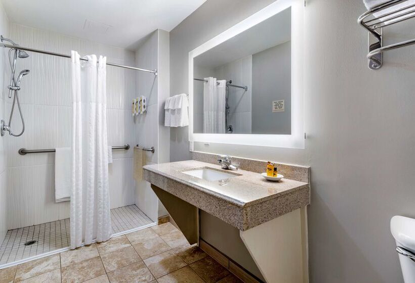 فندق Best Western Plus Edinburg Inn & Suites