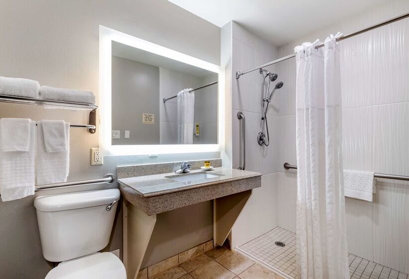 فندق Best Western Plus Edinburg Inn & Suites