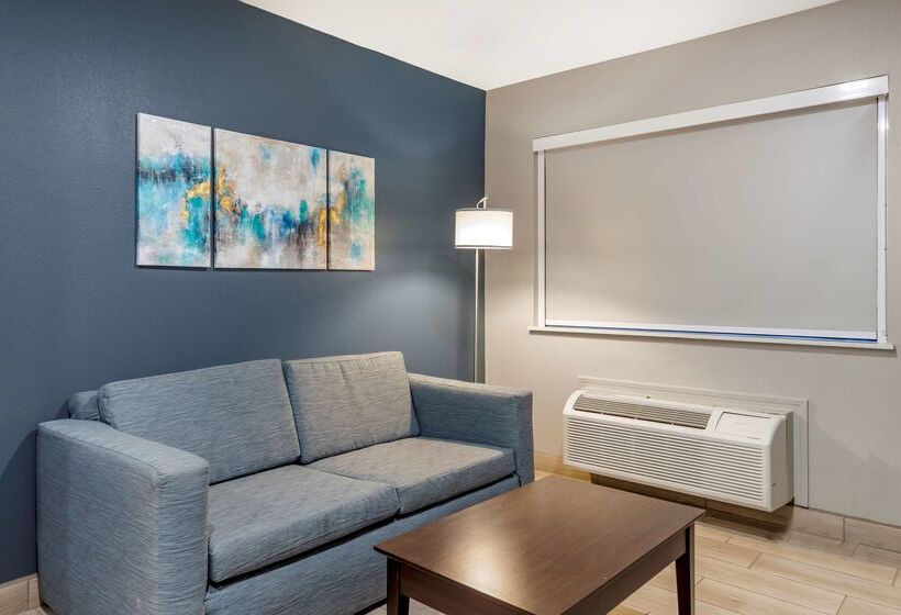 فندق Best Western Plus Edinburg Inn & Suites