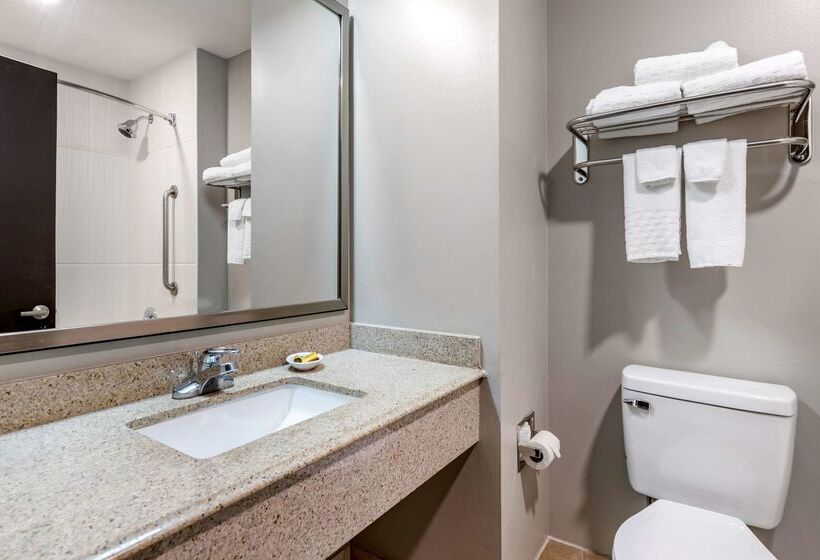 فندق Best Western Plus Edinburg Inn & Suites