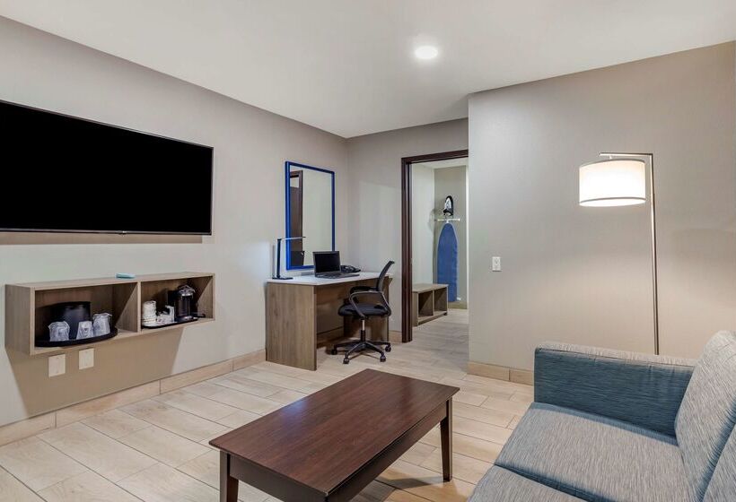 فندق Best Western Plus Edinburg Inn & Suites