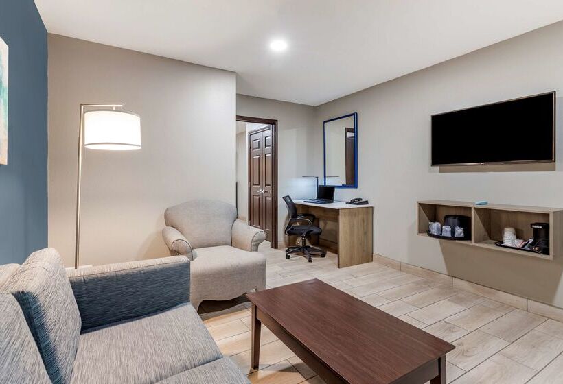 בית מלון כפרי Best Western Plus Edinburg Inn & Suites