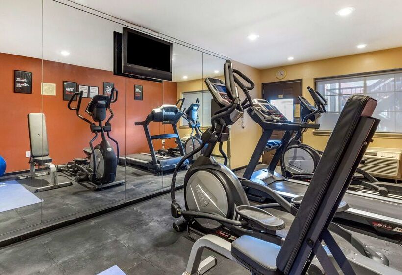 فندق Best Western Plus Edinburg Inn & Suites