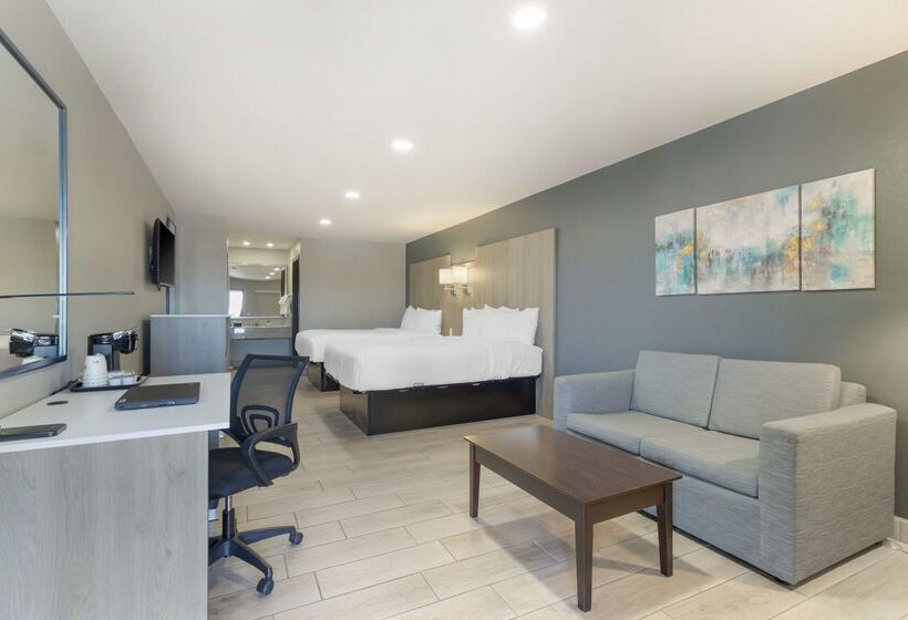فندق Best Western Plus Edinburg Inn & Suites