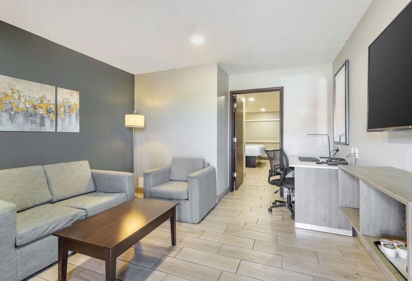 בית מלון כפרי Best Western Plus Edinburg Inn & Suites