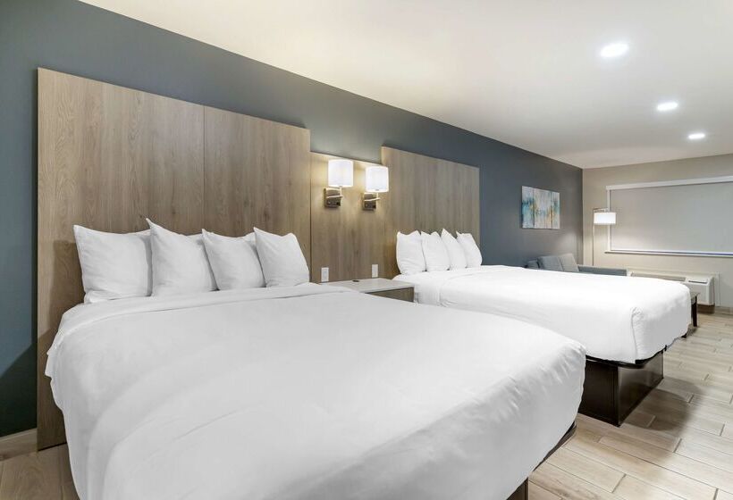 فندق Best Western Plus Edinburg Inn & Suites