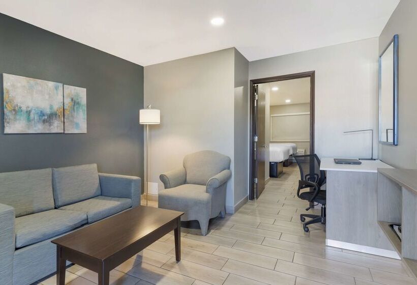 فندق Best Western Plus Edinburg Inn & Suites