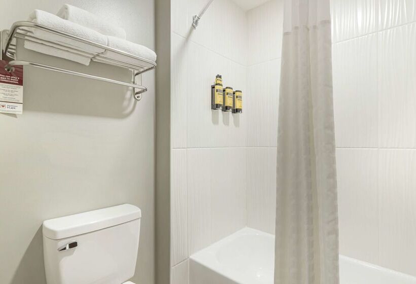 فندق Best Western Plus Edinburg Inn & Suites