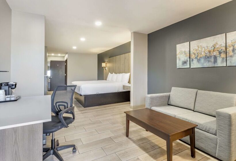 فندق Best Western Plus Edinburg Inn & Suites