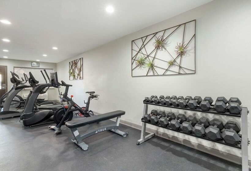 فندق Best Western Plus Edinburg Inn & Suites