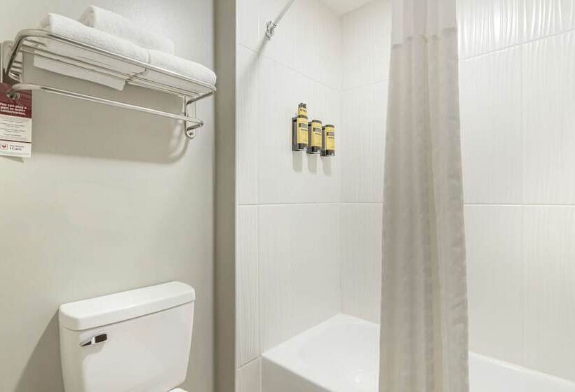 فندق Best Western Plus Edinburg Inn & Suites