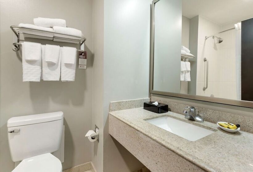 فندق Best Western Plus Edinburg Inn & Suites