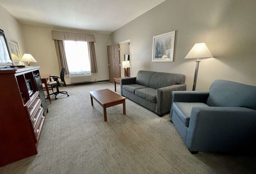 Best Western Plus Executive Hotel & Suites