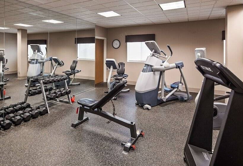 בית מלון כפרי Best Western Plus Flathead Lake Inn And Suites