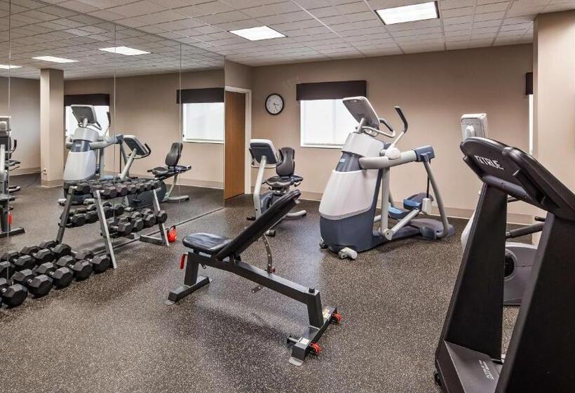 בית מלון כפרי Best Western Plus Flathead Lake Inn And Suites