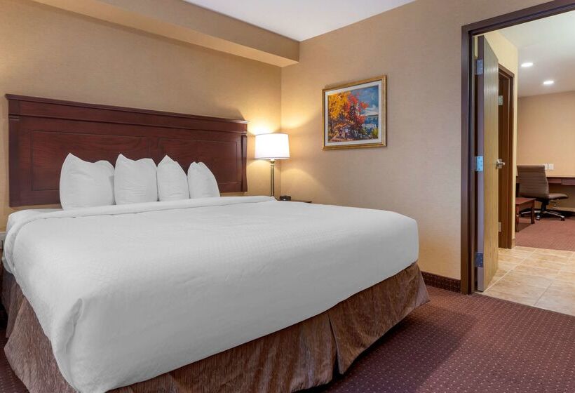 Best Western Plus Fredericton Hotel & Suites