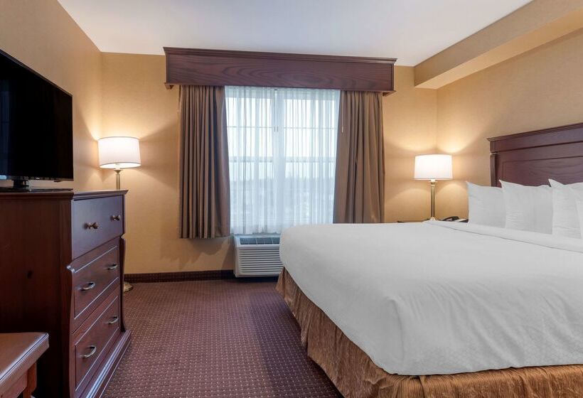Best Western Plus Fredericton Hotel & Suites