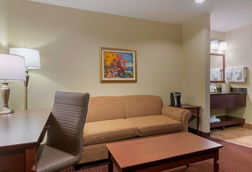 Best Western Plus Fredericton Hotel & Suites