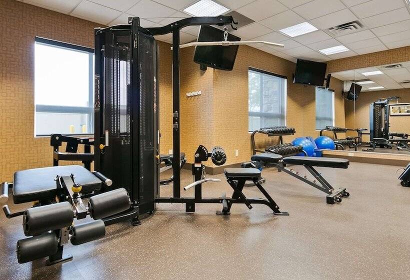 בית מלון כפרי Best Western Premier Freeport Inn Calgary Airport