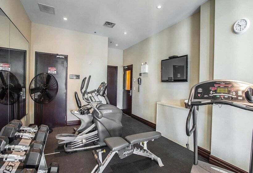 Comfort Hotel Bayer S Lake