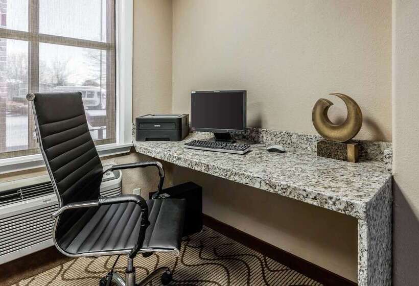 ホテル Comfort Inn & Suites Airport American Way