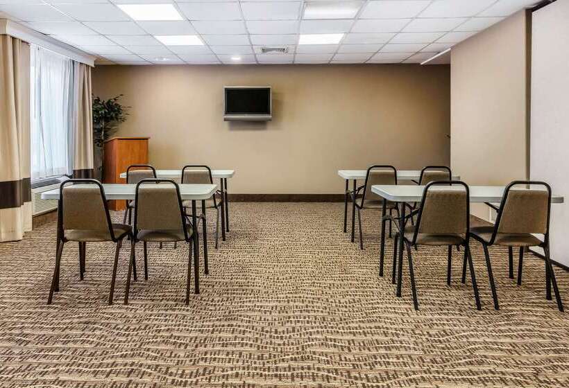 ホテル Comfort Inn & Suites Airport American Way