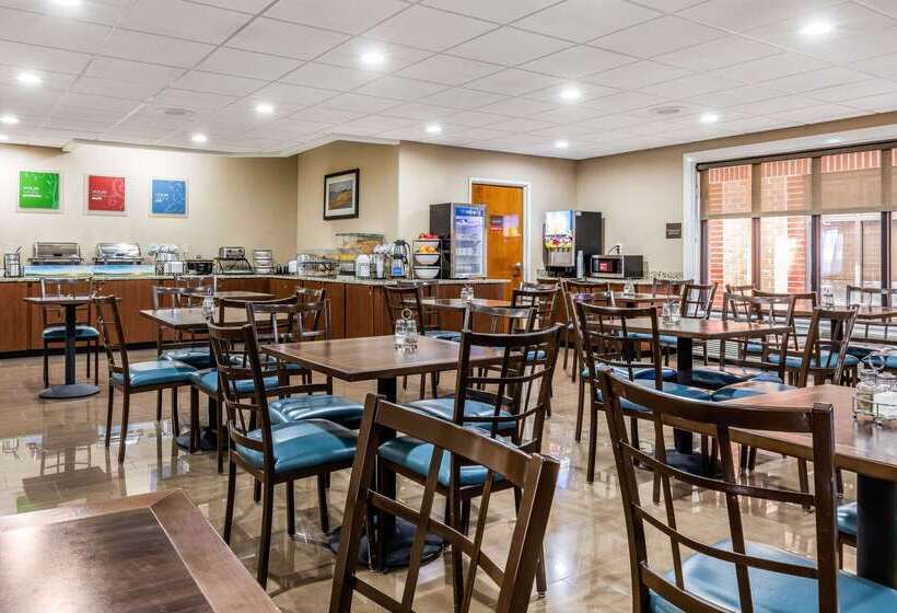 ホテル Comfort Inn & Suites Airport American Way