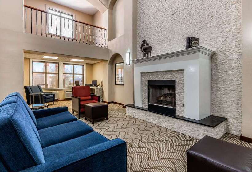 ホテル Comfort Inn & Suites Airport American Way