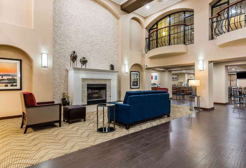 ホテル Comfort Inn & Suites Airport American Way