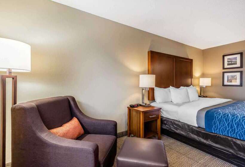 ホテル Comfort Inn & Suites Airport American Way