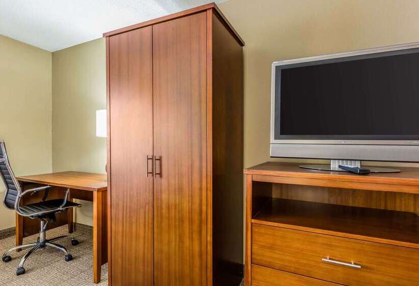 ホテル Comfort Inn & Suites Airport American Way