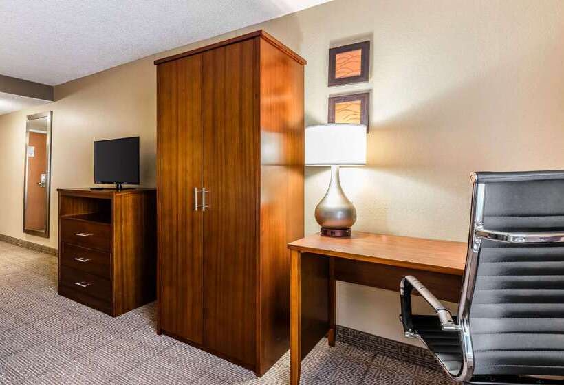 ホテル Comfort Inn & Suites Airport American Way