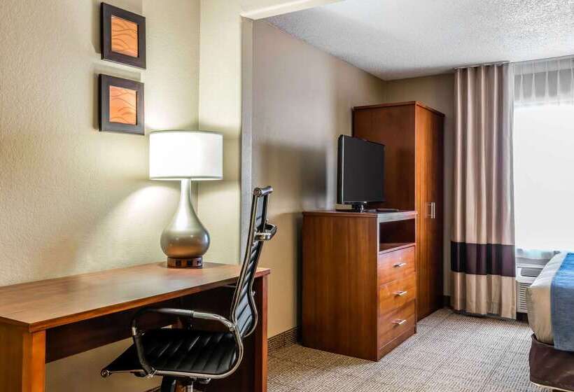 ホテル Comfort Inn & Suites Airport American Way