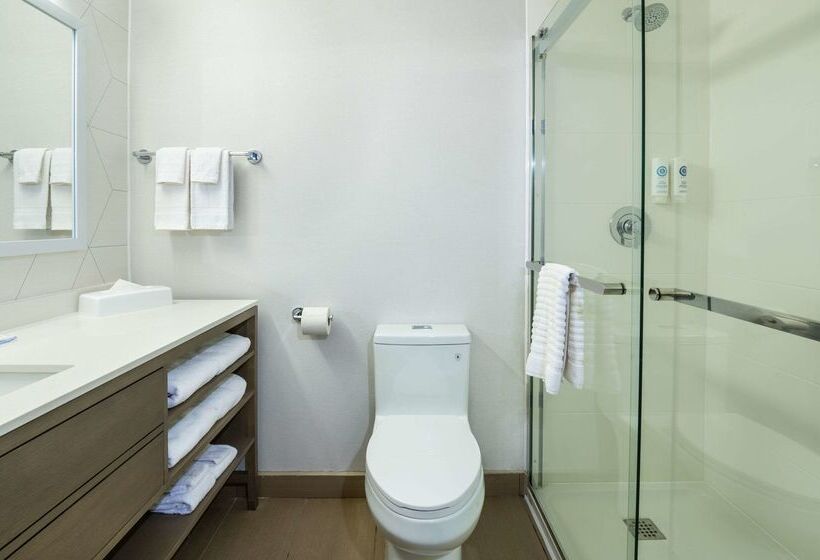 فندق Comfort Inn & Suites