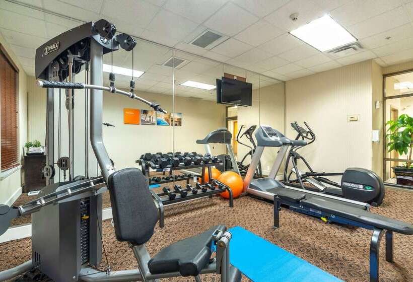 בית מלון כפרי Comfort Inn & Suites