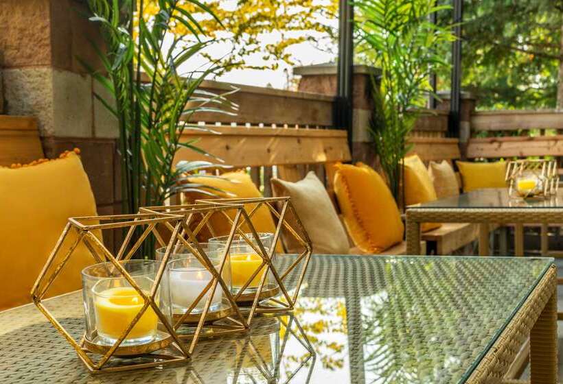 בית מלון כפרי Comfort Inn & Suites