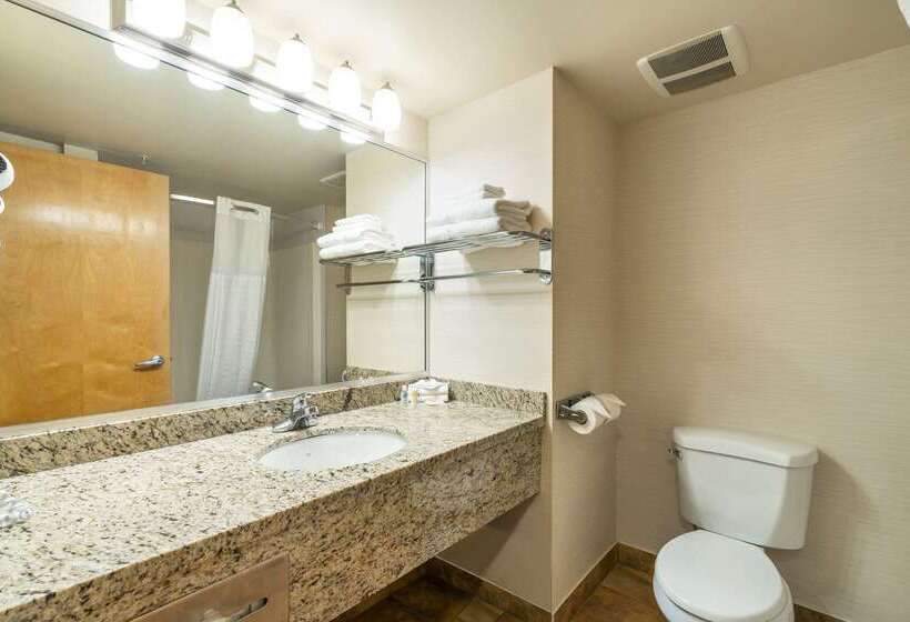 בית מלון כפרי Comfort Inn & Suites