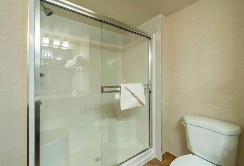 فندق Comfort Inn & Suites